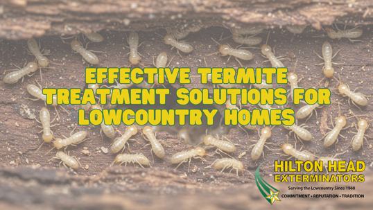 effective termite treatment solutions in the Lowcountry