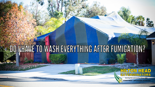 Fumigation Safety and Cleaning Tips