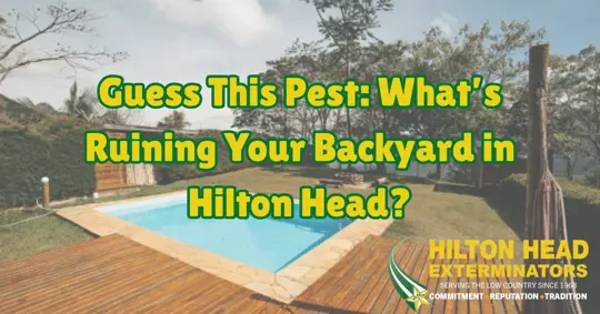 Mosquito control for Hilton Head backyard spaces