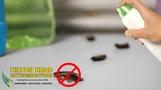 effective pest control strategies for bedbugs, cockroaches, and termites in homes