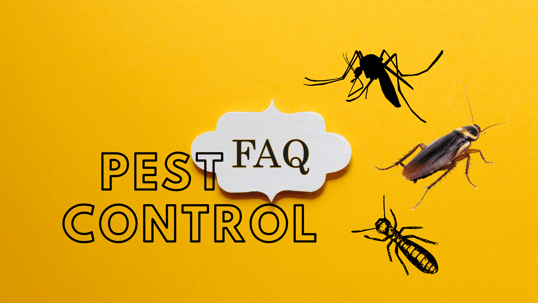 Pest Control Questions