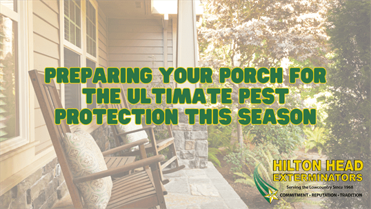 outdoor pest control Hilton Head