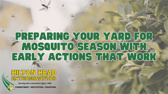 mosquito season preparation in South Carolina