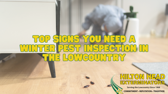 winter pest inspection in the Lowcountry