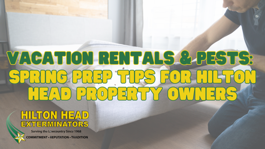 spring pest control for Hilton Head vacation rentals