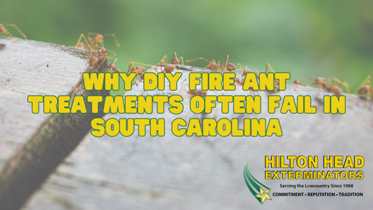 fire ant control Hilton Head SC