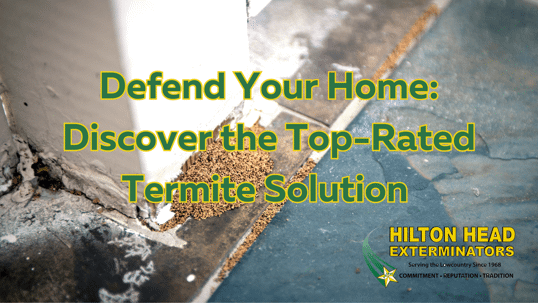 Defend Your Home: Discover the Top-Rated Termite Solution with Hilton Head Exterminators