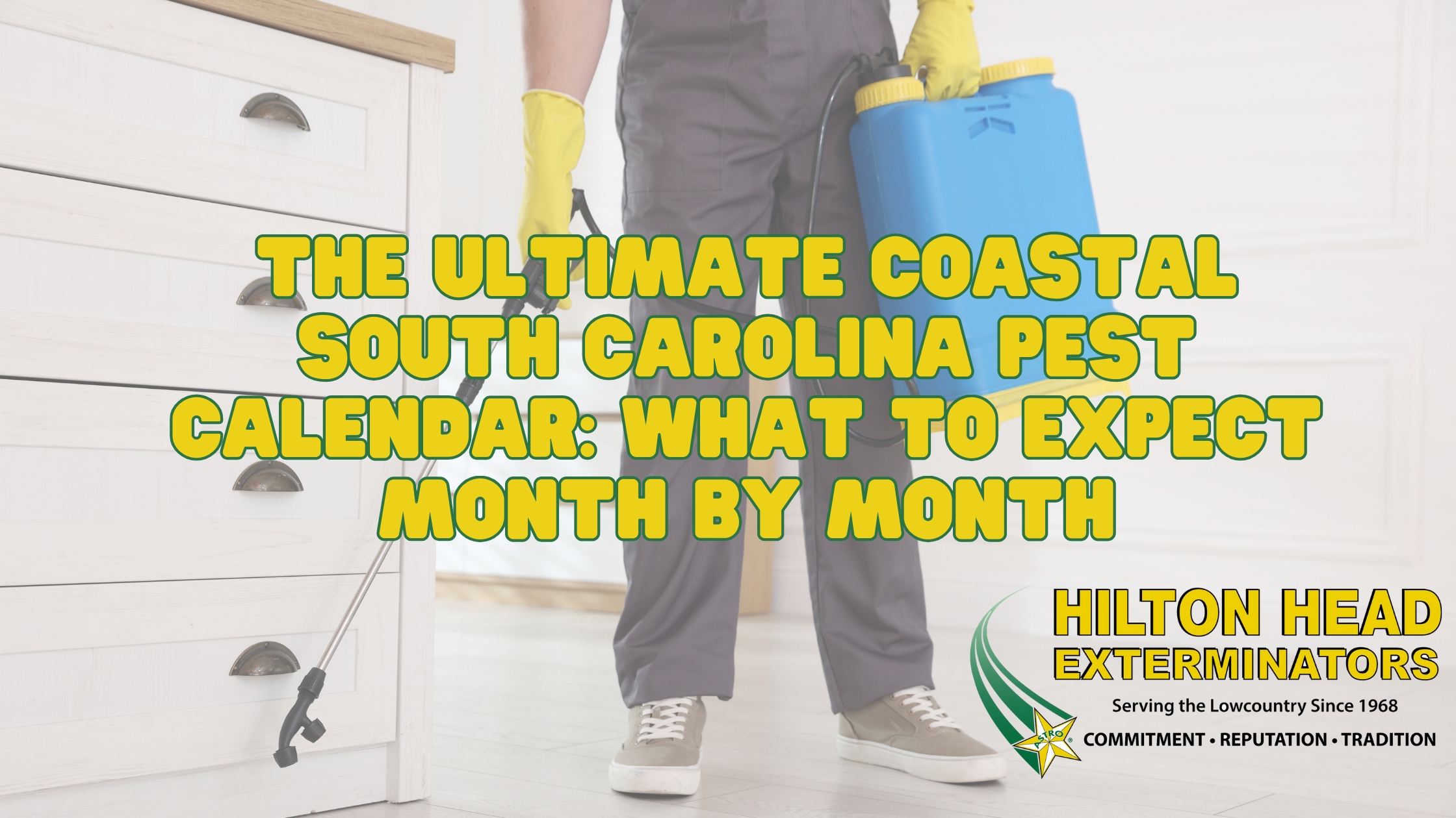 The Ultimate Coastal South Carolina Pest Calendar: What to Expect Month ...